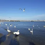 Apartament Sopot - Plaza W Zasiegu Reki, Promenada Wzdluz Morza Prowadzaca Do Mola, Pyszne Jedzenie W Poblizu - Karlikowska 13B 5 - 3 Min Do Plazy *